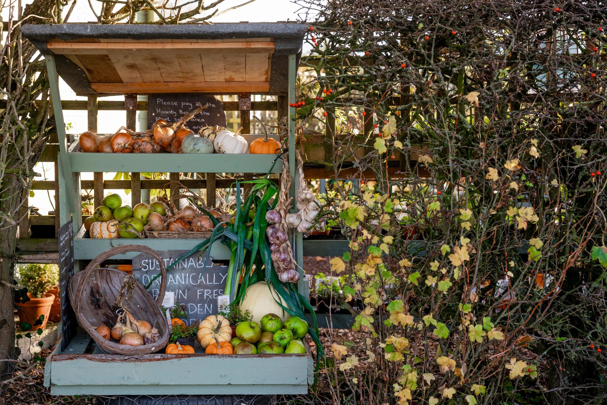 Rustic farm stand with fresh organic vegetables