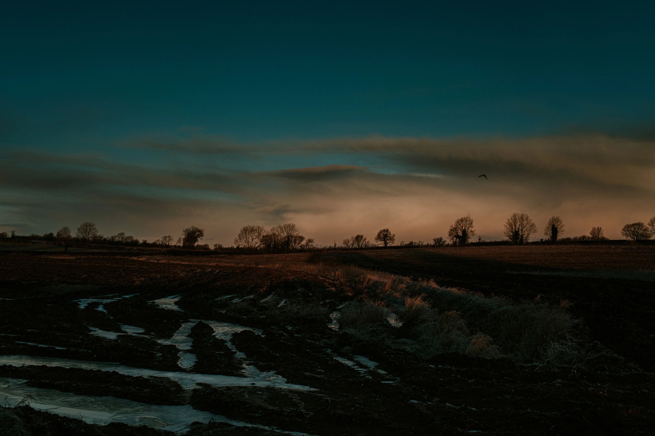 Sunrise over farm fields at DedaMile
