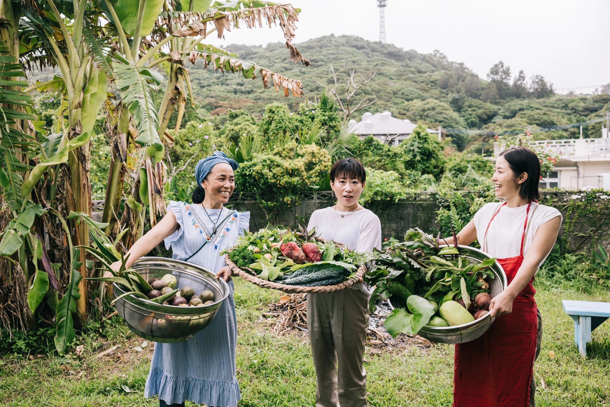 Freshly harvested organic vegetables in a basket