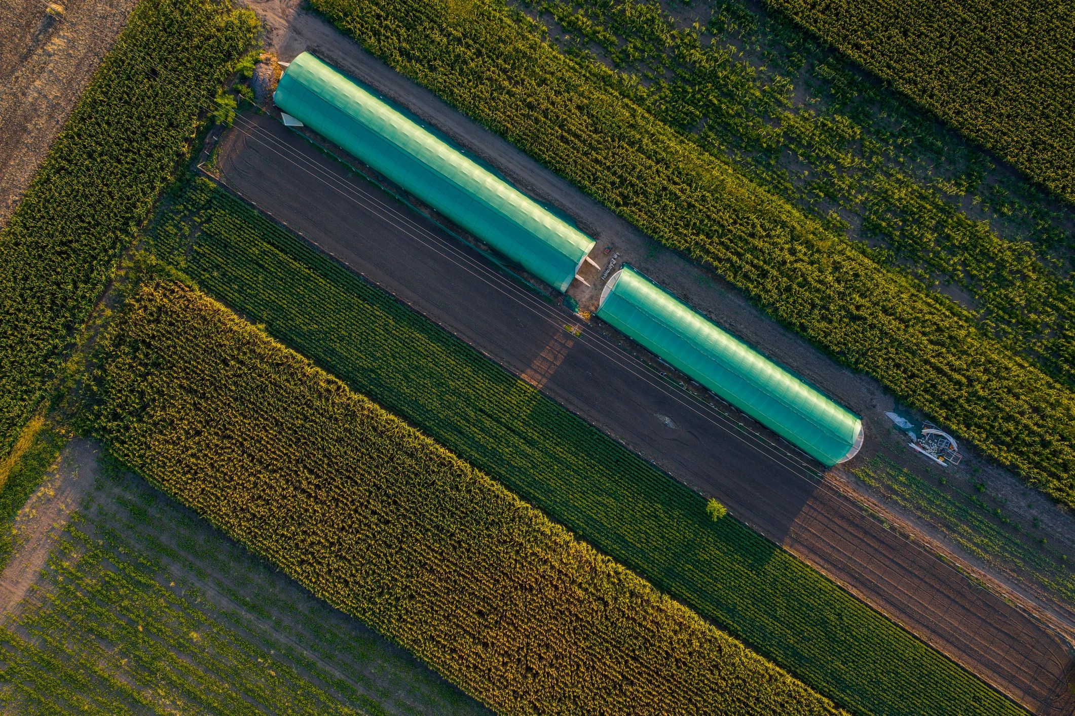 Greenhouses and agricultural fields at sunset